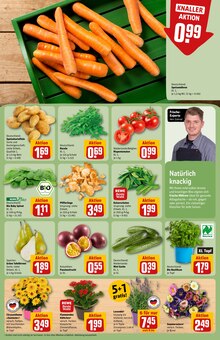 Kartoffeln im REWE Prospekt "Dein Markt" mit 28 Seiten (Jena)