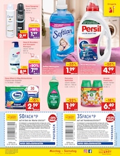 Persil im Netto Marken-Discount Prospekt in Lutherstadt Wittenberg Aktueller Netto Marken-Discount Prospekt mit Persil, "Aktuelle Angebote", Seite 43
