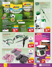 Mode im Netto Marken-Discount Prospekt in Cottbus Aktueller Netto Marken-Discount Prospekt mit Mode, "Aktuelle Angebote", Seite 30