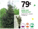 Promo Chêne vert 'quercus ilex' à 79,00 € dans le catalogue E.Leclerc à Pléneuf-Val-André