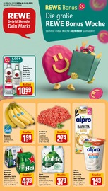 REWE Supermarkt Prospekt der aktuellen Woche mit 20 Seiten, gültig von 13.10.2025 bis 18.10.2025, in Allmendingen und Umgebung Aktueller REWE Supermarkt Prospekt in Allmendingen und Umgebung, "Dein Markt" mit 20 Seiten, 13.10.2025 - 18.10.2025