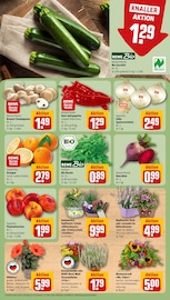 Ähnliche Stiefmütterchen Angebote im Prospekt "Dein Markt" von REWE in Ludwigshafen Ähnliche Angebote wie Stiefmütterchen im Prospekt "Dein Markt" auf Seite 9 von REWE in Ludwigshafen