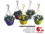 Pensee Suspension en promo chez Hyper U Tourcoing à 6,99 €