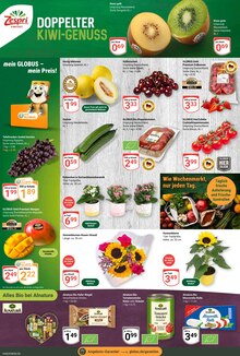 Erdbeeren im aktuellen GLOBUS Prospekt (Halle (Saale)) Erdbeeren im GLOBUS Prospekt "Aktuelle Angebote" mit 40 Seiten (Halle (Saale))