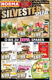 Feuerwerk Angebot im aktuellen Norma Prospekt auf Seite 9