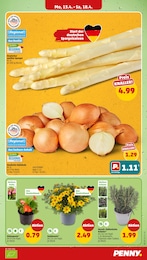 Pflanzen Angebot im aktuellen Penny Prospekt auf Seite 7