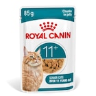 ROYAL CANIN Nourriture humide pour chats, Senior Ageing 11+, gelée 12x85 g - ROYAL CANIN - Maxi Zoo ROYAL CANIN Nourriture humide pour chats, Senior Ageing 11+, gelée 12x85 g - ROYAL CANIN à 16,99 € dans le catalogue Maxi Zoo