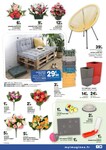 Plantes Et Fleurs Plantes Et Fleurs