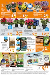Haushaltsartikel im Globus-Baumarkt Prospekt in Kempen Aktueller Globus-Baumarkt Prospekt mit Haushaltsartikel, "Immer eine Idee besser", Seite 5
