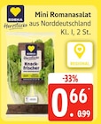 Mini Romanasalat bei EDEKA Frischemarkt im Prospekt "" für 0,66 €