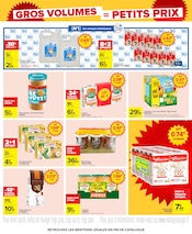 Fleurs en promo dans le catalogue Carrefour à la page 13