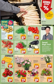 Pflanzen im REWE Prospekt in Heidelberg Aktueller REWE Prospekt mit Pflanzen, "Dein Markt", Seite 7