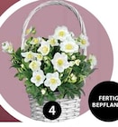 Aktuelles PFLANZARRANGEMENT Angebot bei Dehner Garten-Center in Essen ab 17,99 €