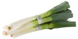 Bio Porree im Angebot bei REWE in Hanau Bio Porree Angebote von Rewe Bio bei REWE Hanau für 2,49 €