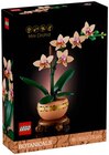 Mini-Orchidee im Angebot bei REWE in Leinfelden-Echterdingen Mini-Orchidee Angebote von LEGO bei REWE Leinfelden-Echterdingen für 20,00 €