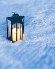 LED-Laterne Stern Angebote von dekorado bei Netto mit dem Scottie Altenburg für 7,99 €