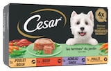 Barquettes Chien Les Terrines du Jardin - Cesar dans le catalogue Netto