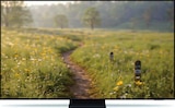 QLED TV GQ65Q7F5AUXZG Angebote von Samsung bei expert Amberg für 579,00 €