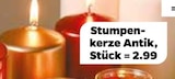 Stumpenkerze Antik im aktuellen Netto mit dem Scottie Prospekt