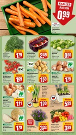 Ähnliche Hortensie Angebote im Prospekt "Dein Markt" von REWE in Esslingen Ähnliche Angebote wie Hortensie im Prospekt "Dein Markt" auf Seite 7 von REWE in Esslingen