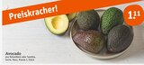 Avocado bei tegut im Bodenheim Prospekt für 1,11 €
