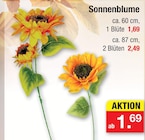 Sonnenblume Angebote bei Zimmermann Emden für 1,69 €