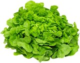 Salat Eichblatt im Angebot bei REWE in Würzburg Salat Eichblatt Angebote von REWE Regional bei REWE Würzburg für 0,44 €