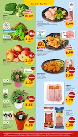 Schweinefleisch im Penny Prospekt in Offenbach Aktueller Penny Prospekt mit Schweinefleisch, "Wer günstig will, muss Penny.", Seite 34