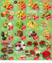 Kartoffeln im Kaufland Prospekt in Pirmasens Aktueller Kaufland Prospekt mit Kartoffeln, "Aktuelle Angebote", Seite 7