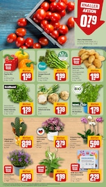 Bio im REWE Prospekt in Lingen Aktueller REWE Prospekt mit Bio, "Dein Markt", Seite 5