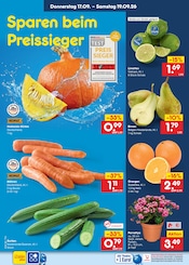 Ähnliche Balkonpflanzen Angebote im Prospekt "Aktuelle Angebote" von Netto Marken-Discount in Hoyerswerda Ähnliche Angebote wie Balkonpflanzen im Prospekt "Aktuelle Angebote" auf Seite 3 von Netto Marken-Discount in Hoyerswerda