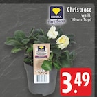 Christrose Angebote von EDEKA Herzstücke bei E center Hagen für 3,49 €