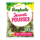 Salade jeunes pousses BONDUELLE dans le catalogue Carrefour Market