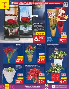 Blumen im aktuellen Netto Marken-Discount Prospekt (Oldenburg) Blumen im Netto Marken-Discount Prospekt "Aktuelle Angebote" mit 64 Seiten (Oldenburg)