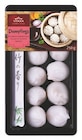 Dumplings im Angebot bei Lidl in Bochum Dumplings Angebote von Vitasia bei Lidl Bochum für 3,49 €