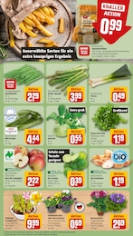 Gemüse im REWE Prospekt "Dein Markt" auf Seite 7