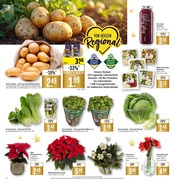 Aktueller Marktkauf Prospekt mit Stauden, "Aktuelle Angebote", Seite 6