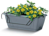 Balkonkasten Angebote von Living & Garden bei Netto Marken-Discount Nordhausen für 5,99 €