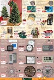 Aktueller GLOBUS Prospekt mit Weihnachtsbaumständer, "Aktuelle Angebote", Seite 25