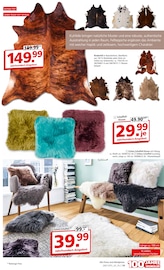 Aktueller Segmüller Prospekt mit Kissen, "Teppich Spezial", Seite 19