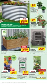 Blumenerde im toom Baumarkt Prospekt in Wismar Aktueller toom Baumarkt Prospekt mit Blumenerde, "Respekt, wer's selber macht.", Seite 6