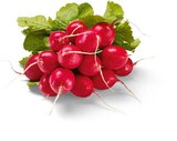 Aktuelles Radieschen Angebot bei Netto Marken-Discount in Koblenz ab 0,55 €