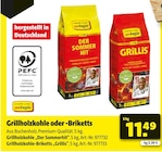 Aktuelle Briketts Angebote bei Hagebaumarkt in Mainz Aktuelles Grillholzkohle oder -Briketts Angebot bei Hagebaumarkt in Mainz ab 11,49 €