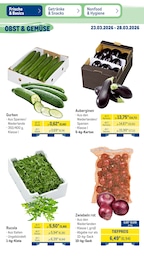 METRO Rucola im Prospekt METRO Rucola im Prospekt