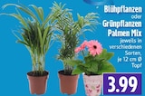 EDEKA Lahnau Prospekt mit  im Angebot für 3,99 €