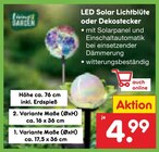 Aktuelle LED-Lampe Angebote bei Netto Marken-Discount in Dresden Aktuelles LED Solar Lichtblüte Angebot bei Netto Marken-Discount in Dresden ab 4,99 €
