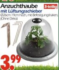 Anzuchthaube im Angebot bei Wreesmann in Dresden Anzuchthaube Angebote bei Wreesmann Dresden für 3,99 €