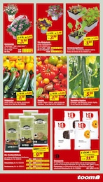 Gemüsepflanzen Angebot im aktuellen toom Baumarkt Prospekt auf Seite 5
