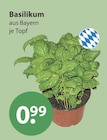 Basilikum von  im aktuellen V-Markt Prospekt für 0,99 €