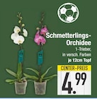 Angebot im EDEKA Bayerisch Gmain Prospekt EDEKA Bayerisch Gmain Prospekt mit im Angebot für 4,99 €